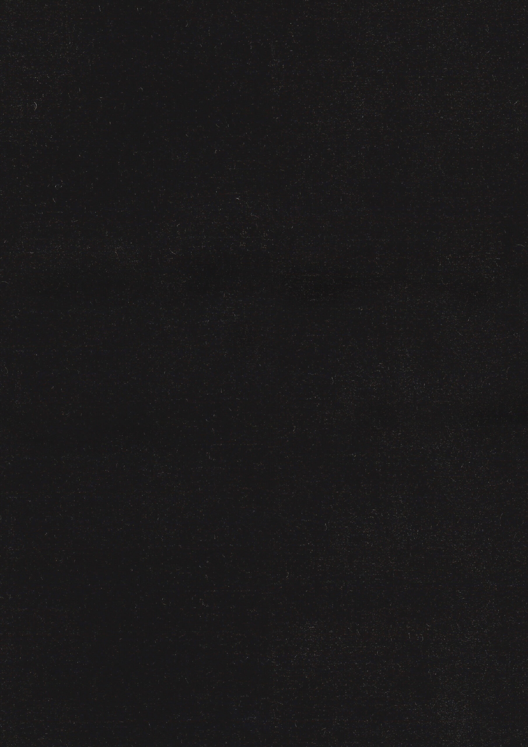 ADORE ANTHRACITE