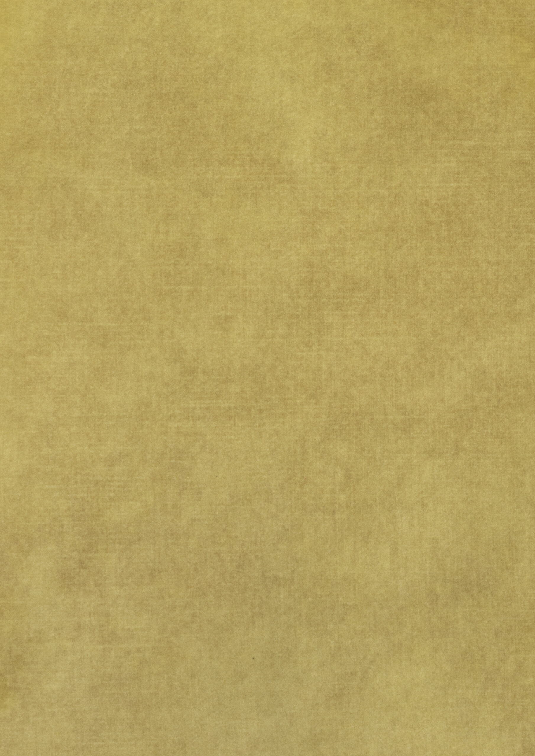 ADORE BRASS 170