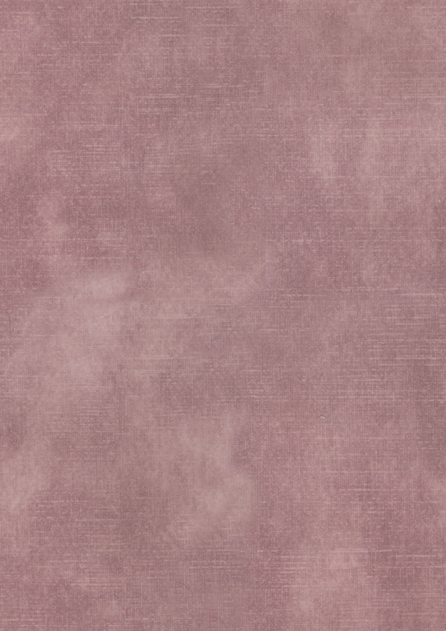 ADORE PALE 200
