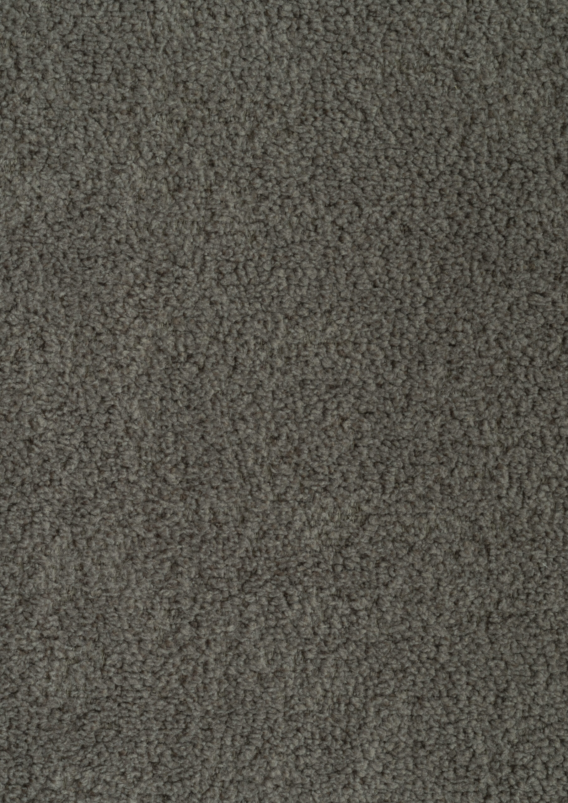 Boogie Taupe