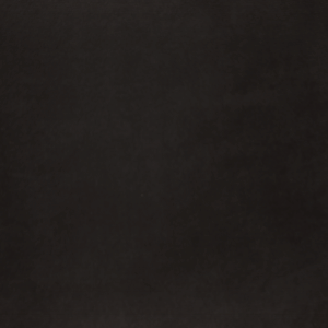 bonnie black 100