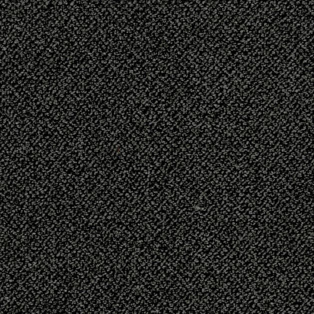 curly antracite