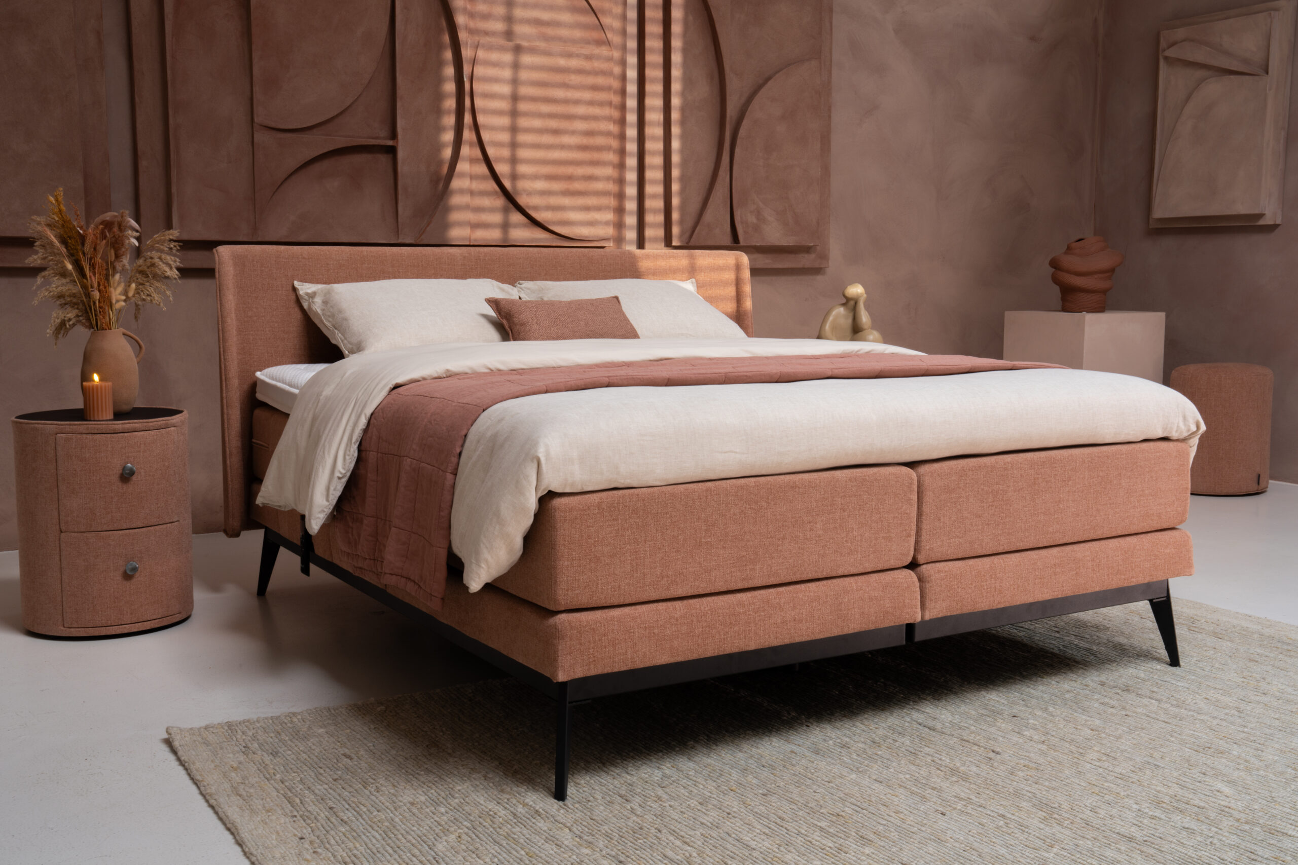 torena-ubica17 Ubica Torena